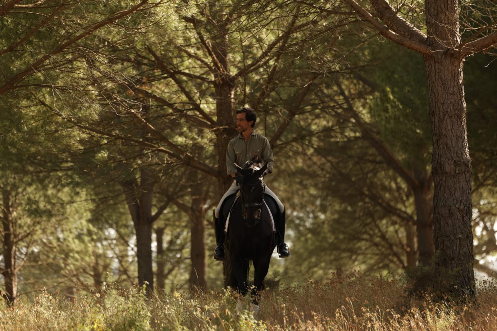 Gonçalo Carvalho em treino de dressage ao pôr do sol